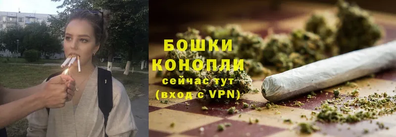 Бошки Шишки THC 21%  Нахабино 